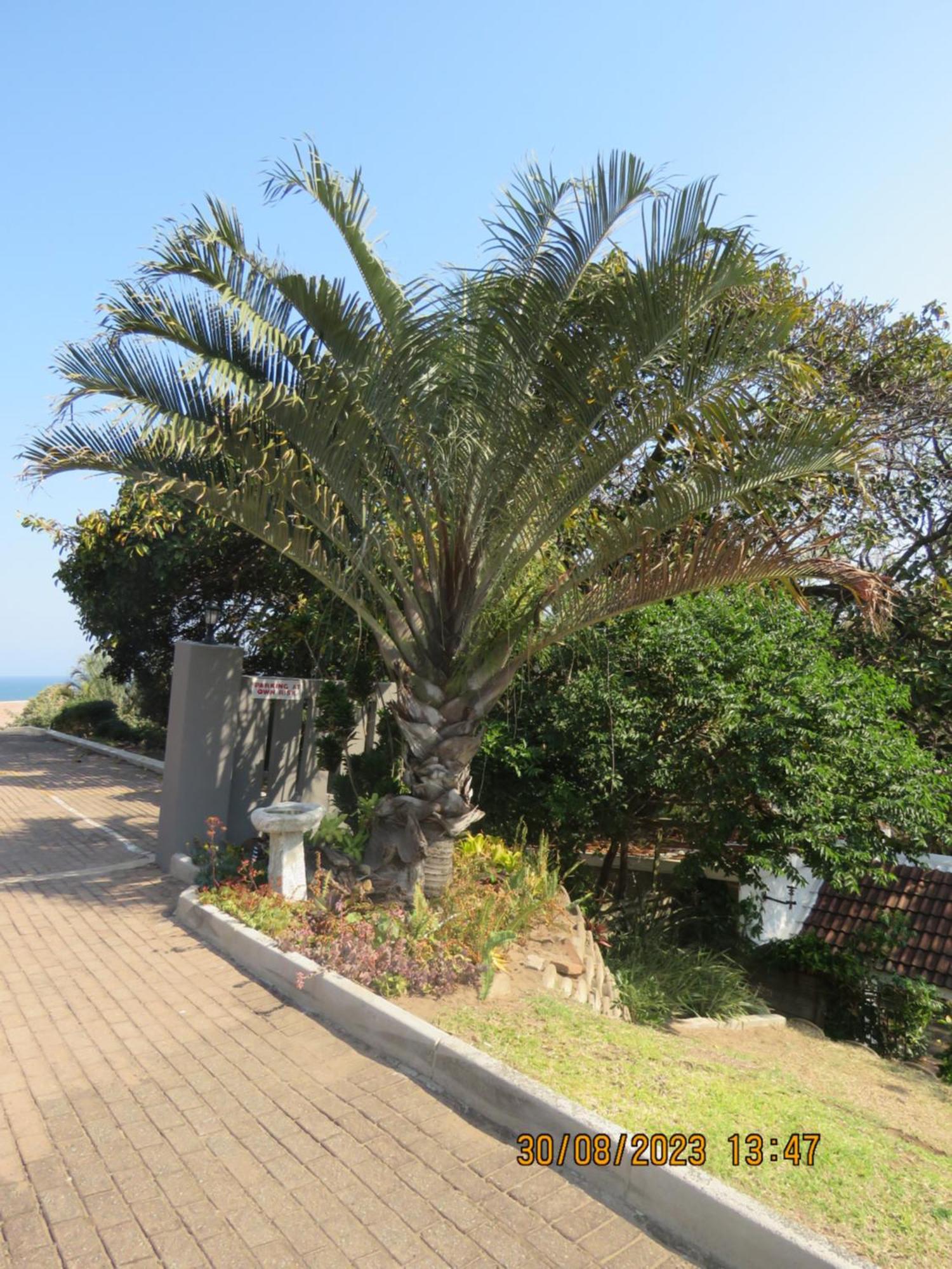 Beachcomber Bay Guest House In South Africa Margate Exteriér fotografie